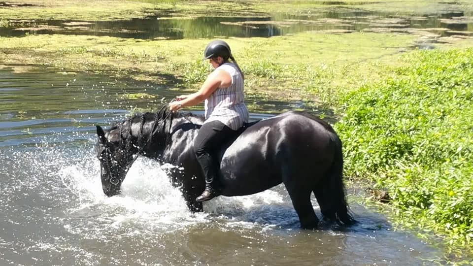Haul-Out Trail Riding Lesson