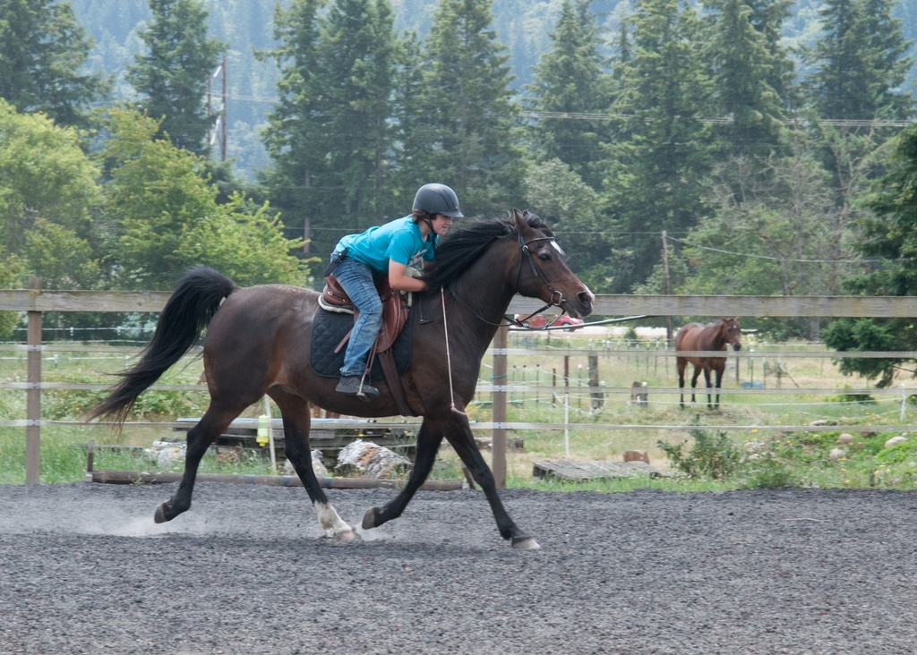 Haul-In Riding Lesson