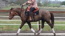 Haul-In Riding Lesson