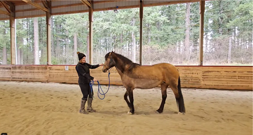 Mobile Riding Lesson