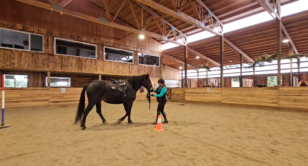 Mobile Riding Lesson