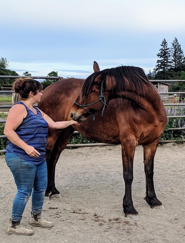 Bodywork/Massage & TSR Session