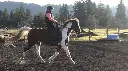 Haul-In Riding Lesson