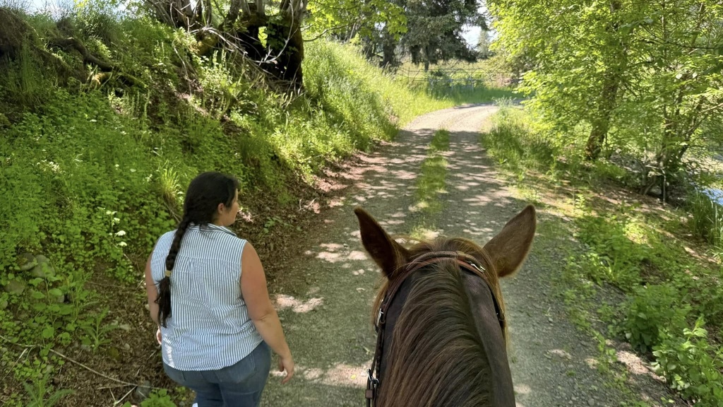 Haul-Out Trail Riding Lesson