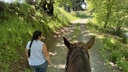 Haul-Out Trail Riding Lesson