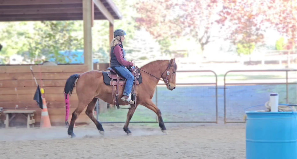 Mobile Riding Lesson