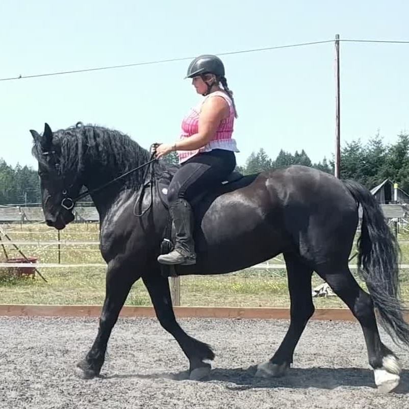 FULL Training