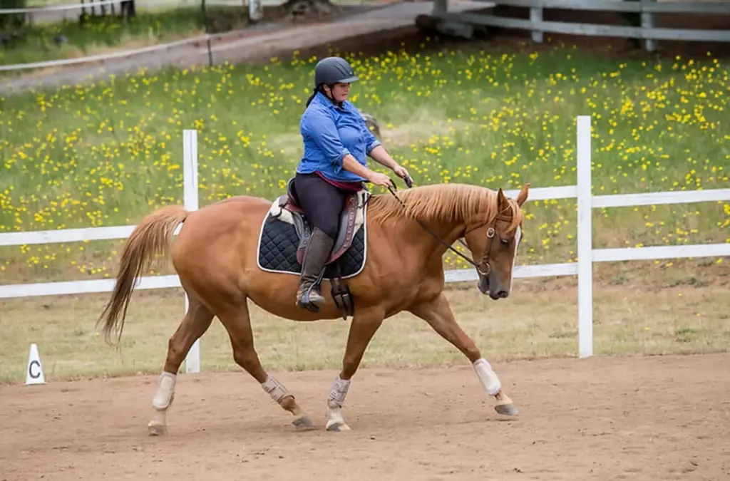 PARTIAL Training