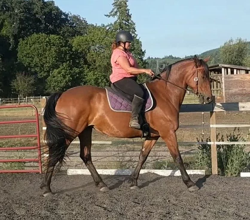 MINI Month (1/2 Month)