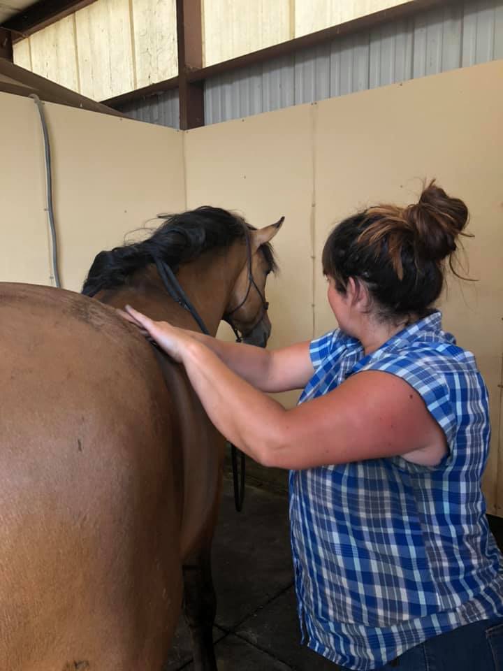 Bodywork/Massage & TSR Session