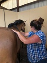 Bodywork/Massage & TSR Session