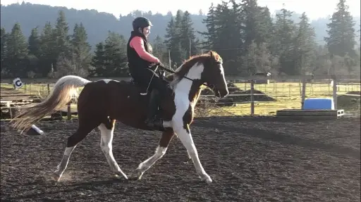 Haul-In Riding Lesson